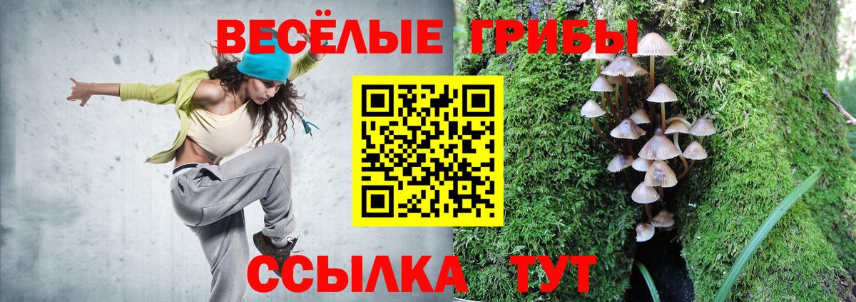 Галлюциногенные грибы мицелий Артём