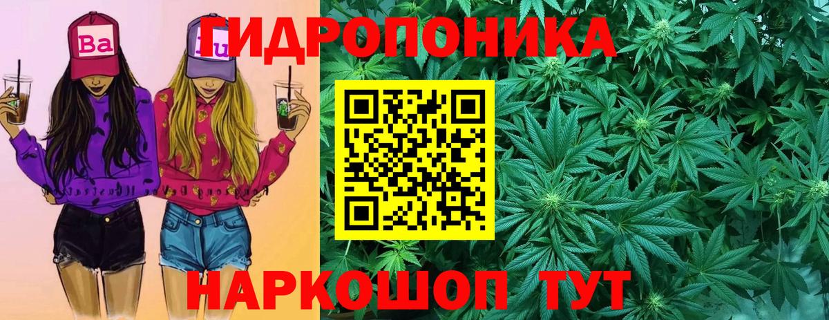 Канабис AK-47  Бошки марихуана THC 21%  Вход с VPN  Бошки марихуана OG Kush  Артём 
